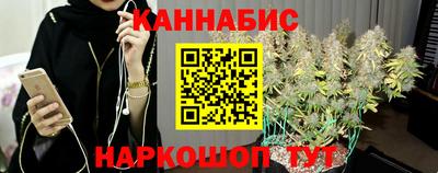 spice Кандалакша