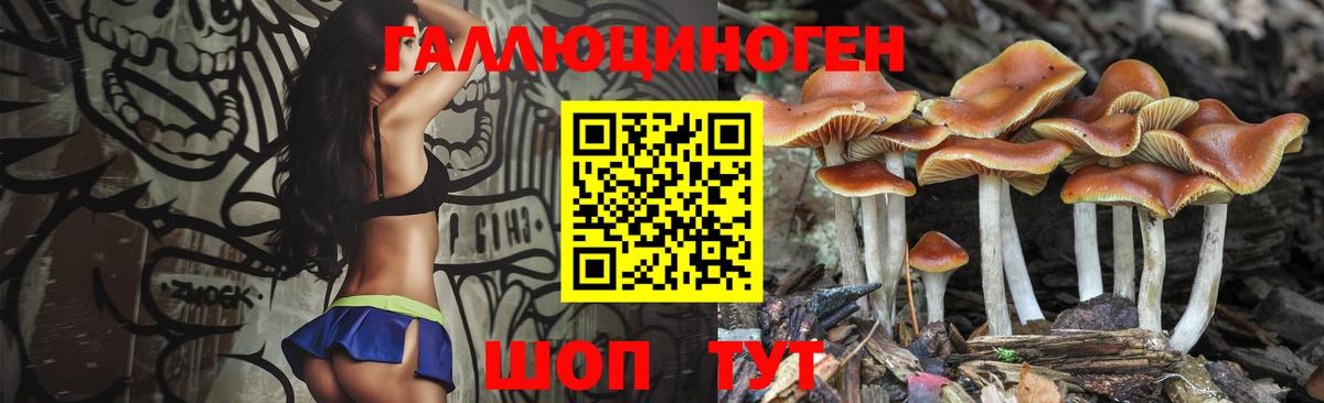Галлюциногенные грибы Magic Shrooms Конаково